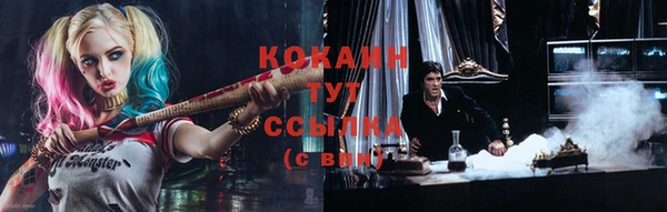 ешки Бородино