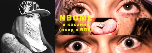 ешки Бородино