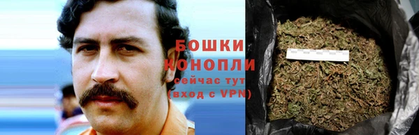 ешки Бородино