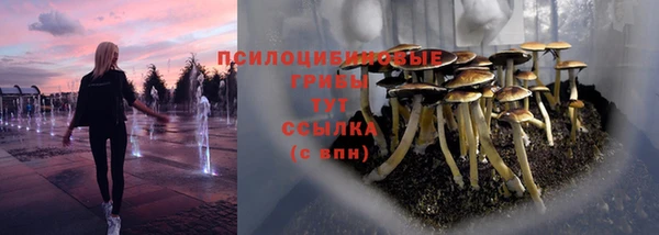 шишки Бугульма