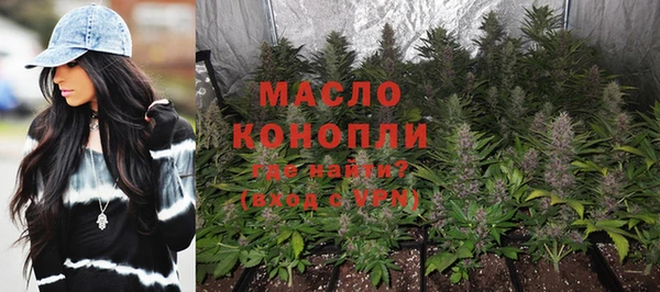 ешки Бородино