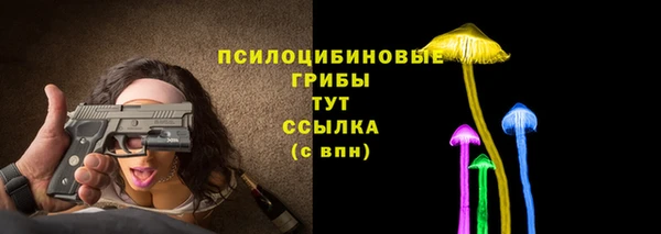 шишки Бугульма