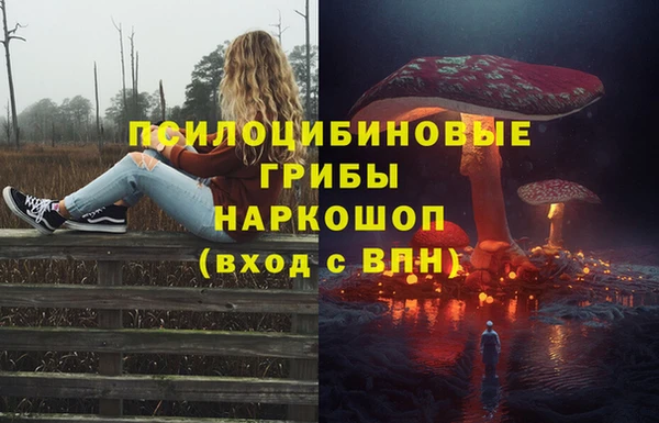 шишки Бугульма
