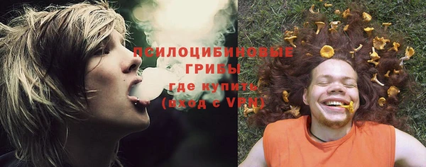 шишки Бугульма