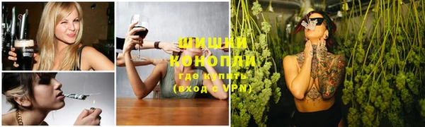 ешки Бородино