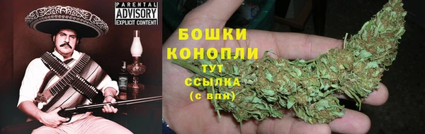 ешки Бородино