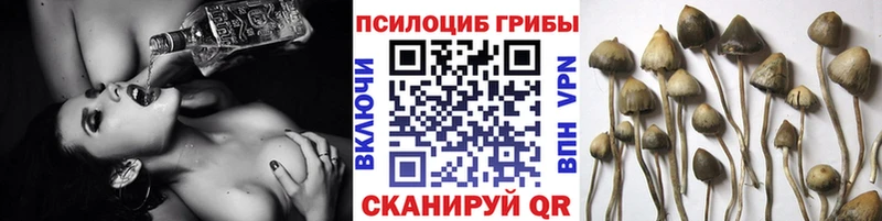 Псилоцибиновые грибы прущие грибы  Гусь-Хрустальный 